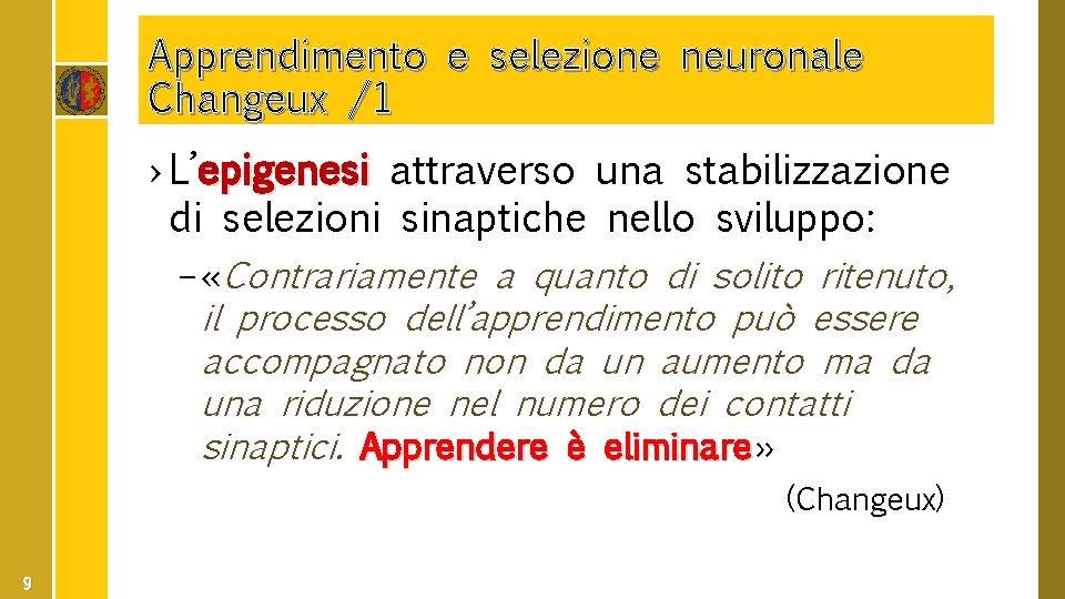 Apprendimento e selezione neuronale Changeux /1 › L’epigenesi attraverso una stabilizzazione di selezioni sinaptiche