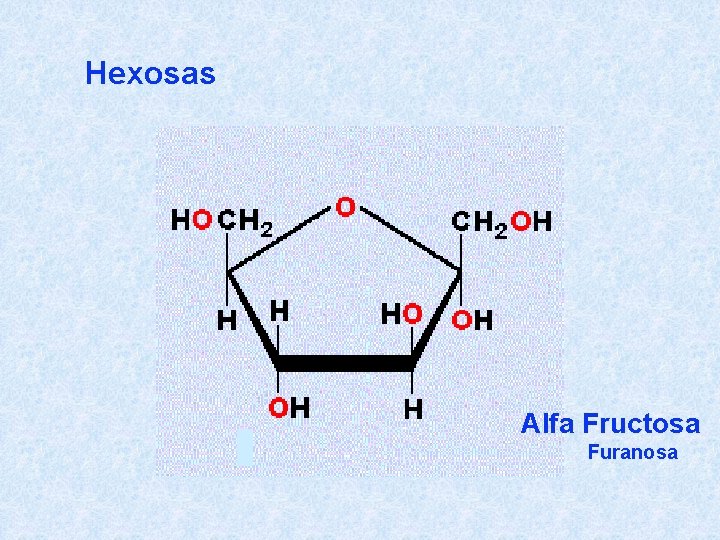 Hexosas Alfa Fructosa Furanosa 
