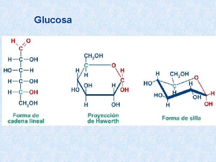 Glucosa 