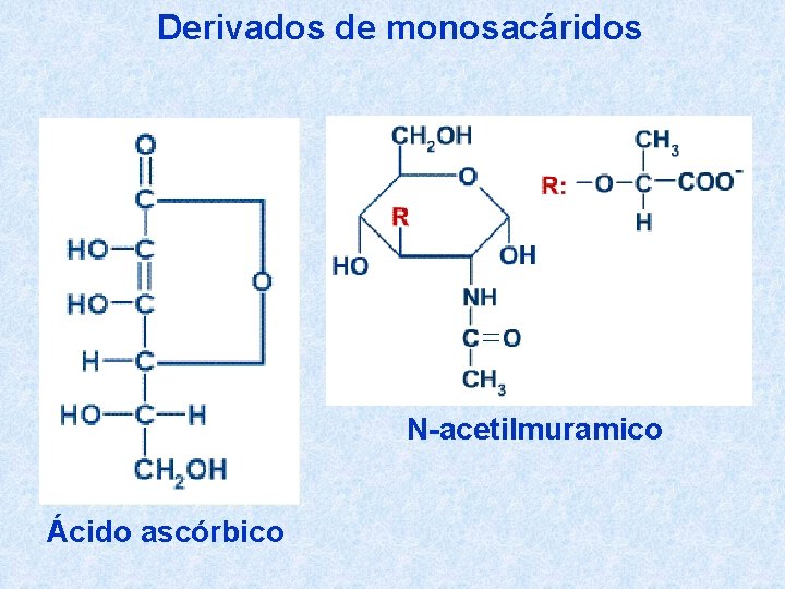 Derivados de monosacáridos N-acetilmuramico Ácido ascórbico 