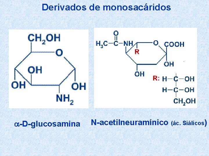 Derivados de monosacáridos a-D-glucosamina N-acetilneuramínico (ác. Siálicos) 