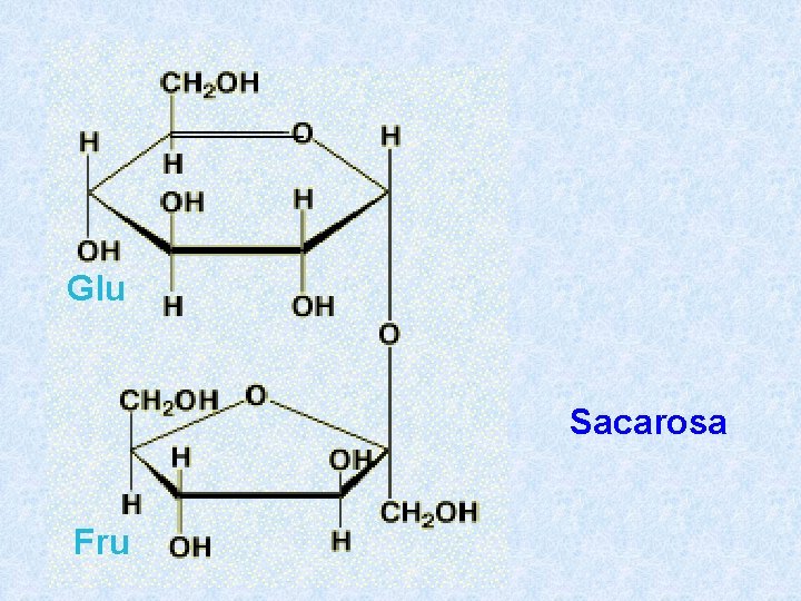 Glu Sacarosa Fru 