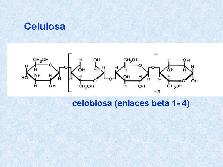 Celulosa celobiosa (enlaces beta 1 - 4) 