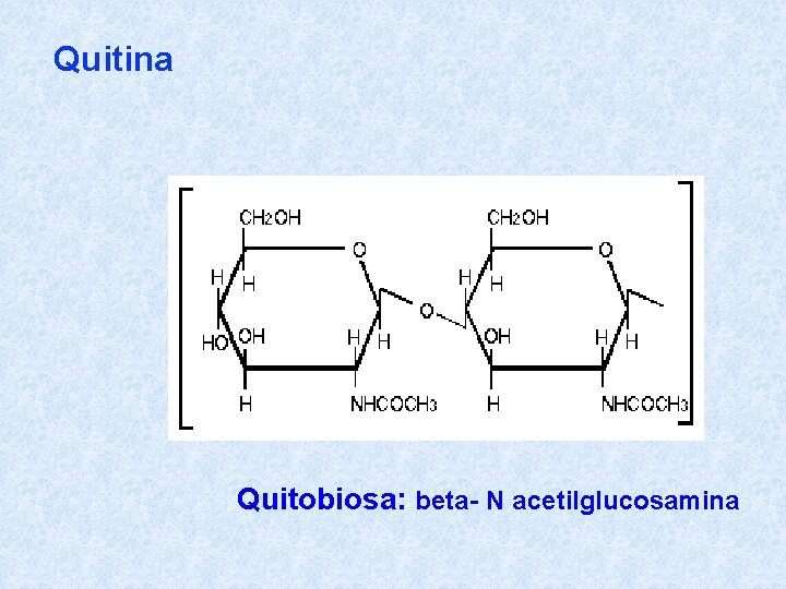 Quitina Quitobiosa: beta- N acetilglucosamina 