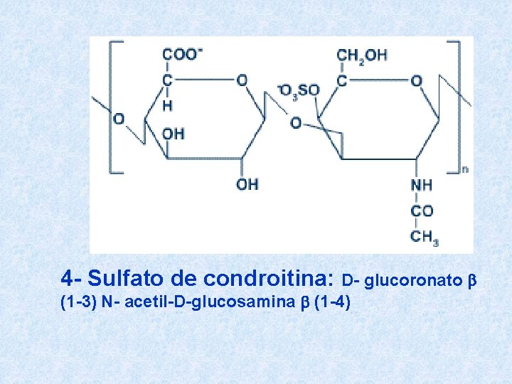 4 - Sulfato de condroitina: D- glucoronato b (1 -3) N- acetil-D-glucosamina b (1