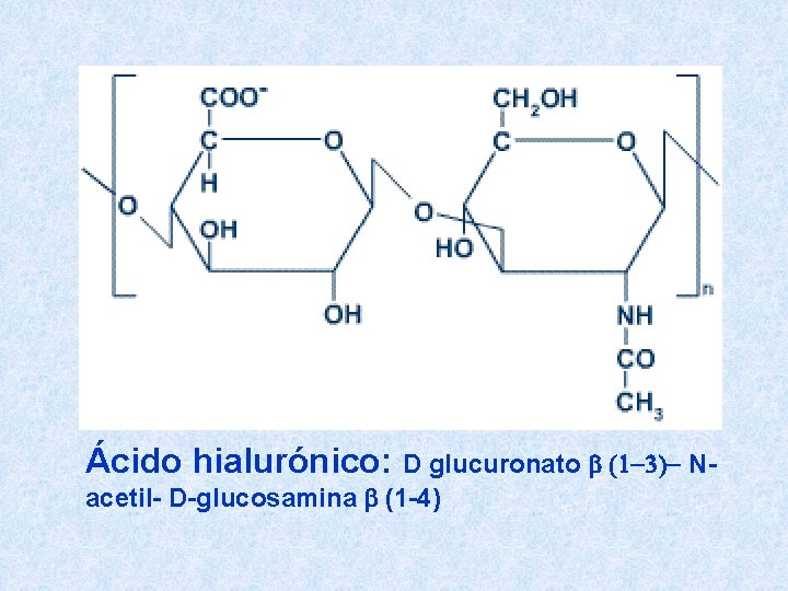 Ácido hialurónico: D glucuronato b (1 -3)- Nacetil- D-glucosamina b (1 -4) 