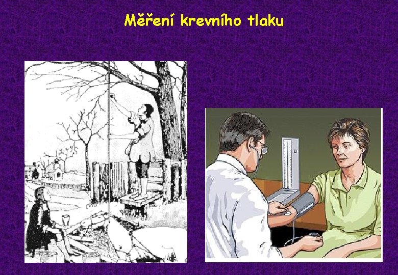 Měření krevního tlaku 