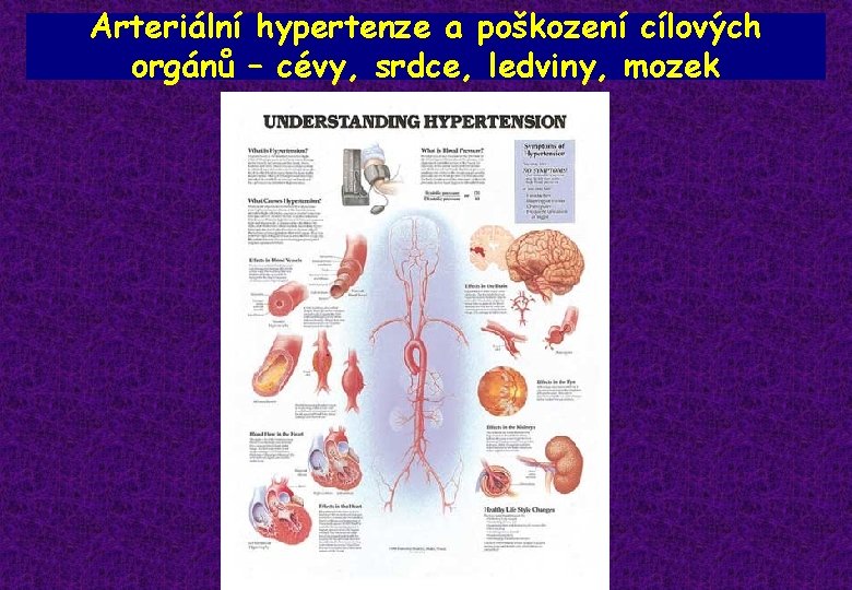 Arteriální hypertenze a poškození cílových orgánů – cévy, srdce, ledviny, mozek 