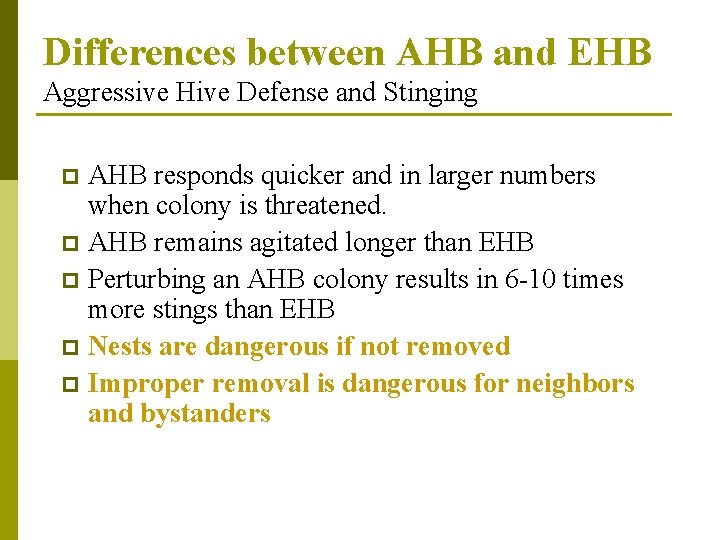Differences between AHB and EHB Aggressive Hive Defense and Stinging AHB responds quicker and