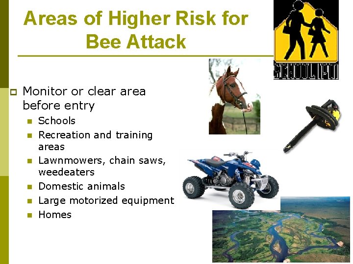Areas of Higher Risk for Bee Attack p Monitor or clear area before entry