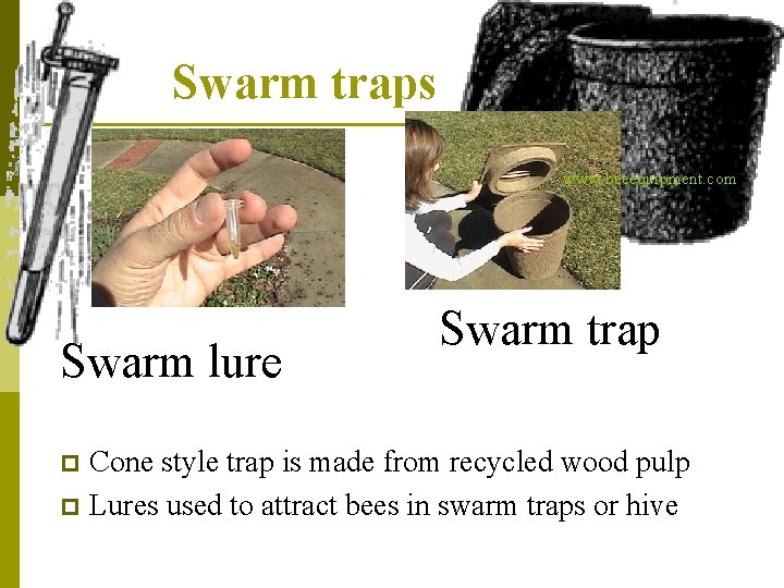 Swarm traps www. beeequipment. com Swarm lure Swarm trap Cone style trap is made