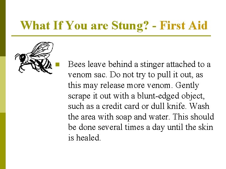 What If You are Stung? - First Aid n Bees leave behind a stinger