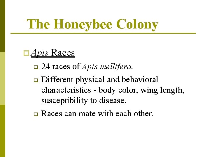 The Honeybee Colony p Apis q q q Races 24 races of Apis mellifera.