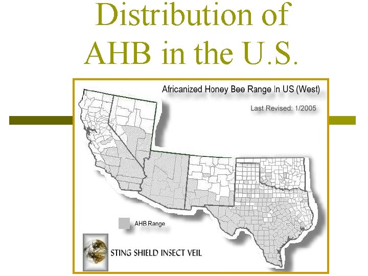 Distribution of AHB in the U. S. 