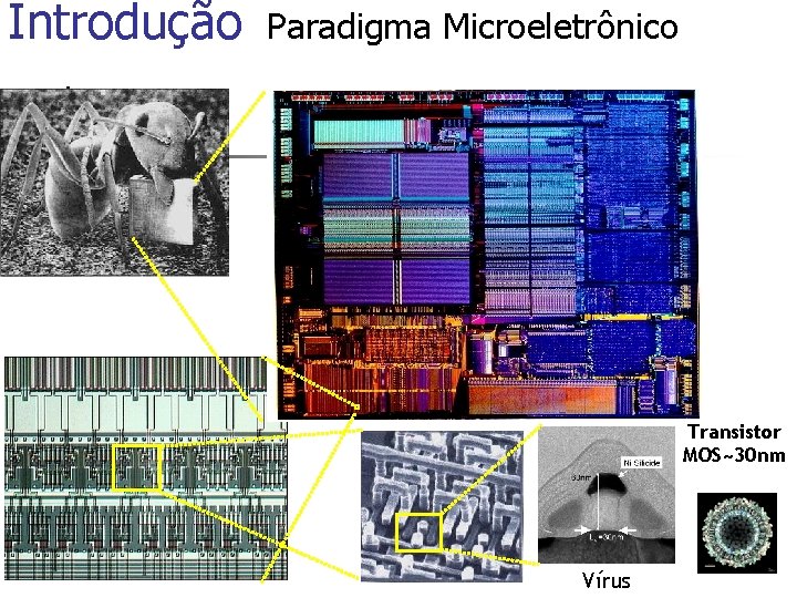 Introdução Paradigma Microeletrônico Transistor MOS~30 nm Vírus 