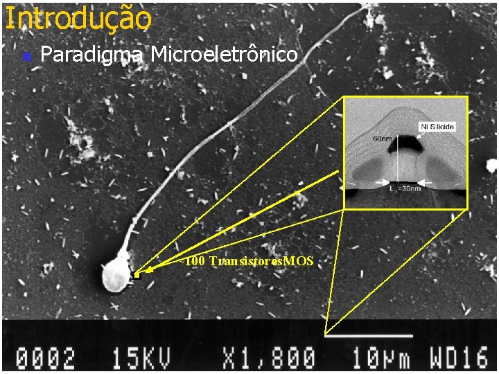 Introdução n Paradigma Microeletrônico ~100 Transistores. MOS 