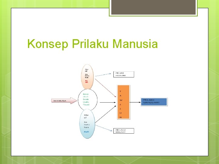 Konsep Prilaku Manusia 