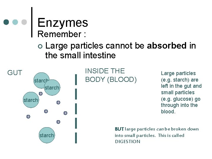 Enzymes Remember : ¢ Large particles cannot be absorbed in the small intestine INSIDE