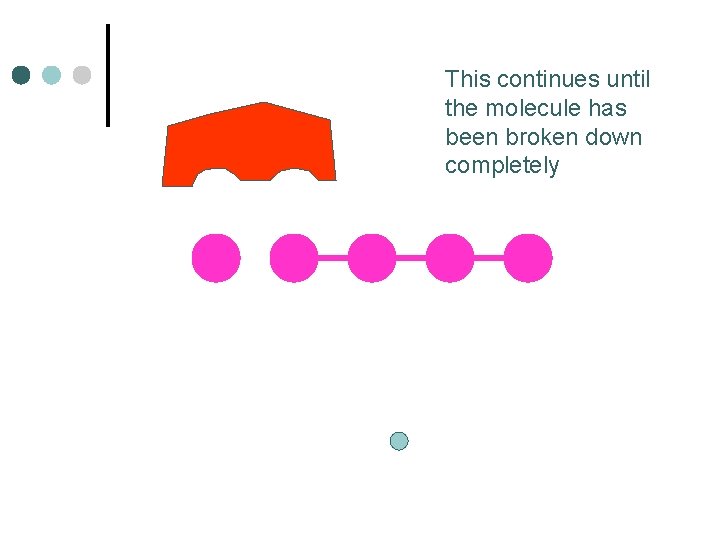 This continues until the molecule has been broken down completely 