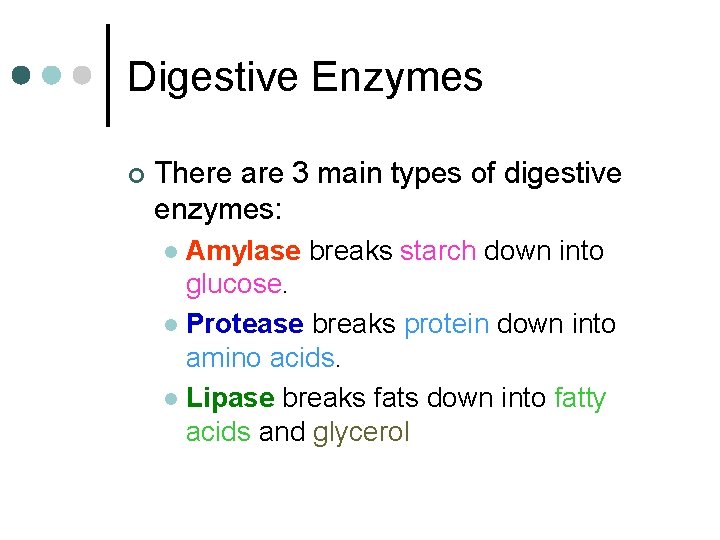 Digestive Enzymes ¢ There are 3 main types of digestive enzymes: Amylase breaks starch