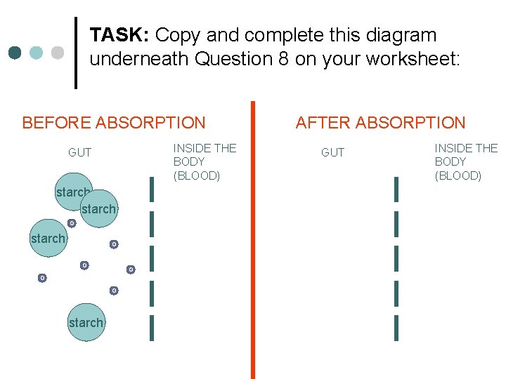 TASK: Copy and complete this diagram underneath Question 8 on your worksheet: BEFORE ABSORPTION