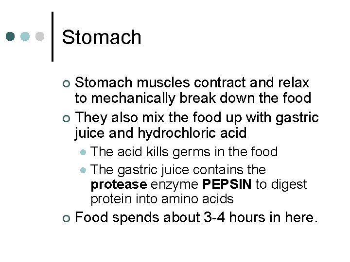 Stomach muscles contract and relax to mechanically break down the food ¢ They also