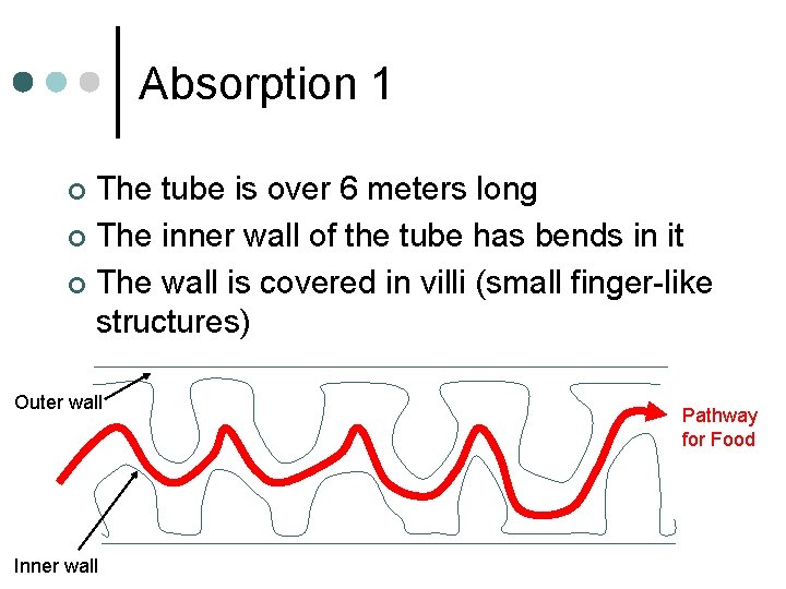 Absorption 1 The tube is over 6 meters long ¢ The inner wall of