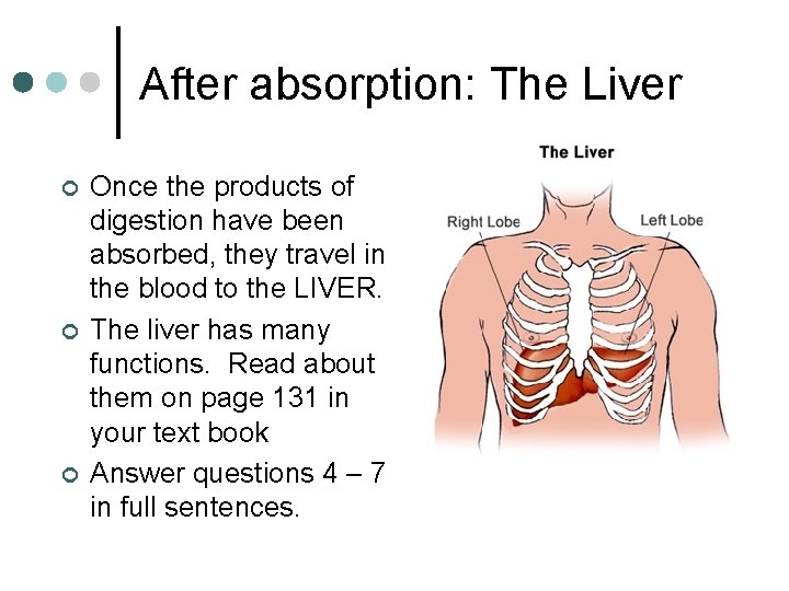 After absorption: The Liver ¢ ¢ ¢ Once the products of digestion have been