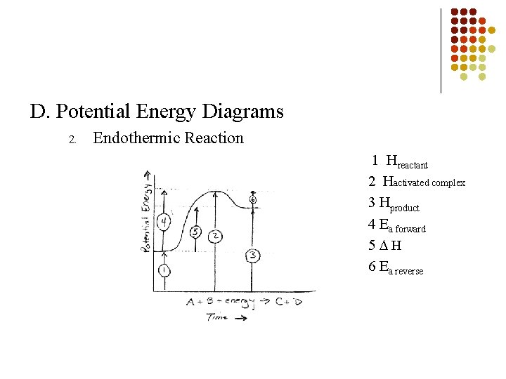 D. Potential Energy Diagrams 2. Endothermic Reaction 1 Hreactant 2 Hactivated complex 3 Hproduct