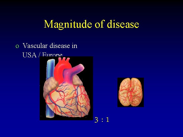 Magnitude of disease o Vascular disease in USA / Europe 3: 1 
