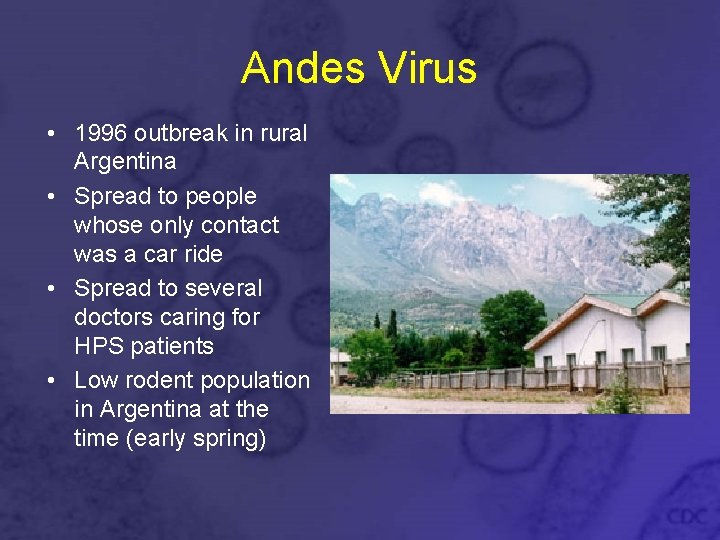 Andes Virus • 1996 outbreak in rural Argentina • Spread to people whose only