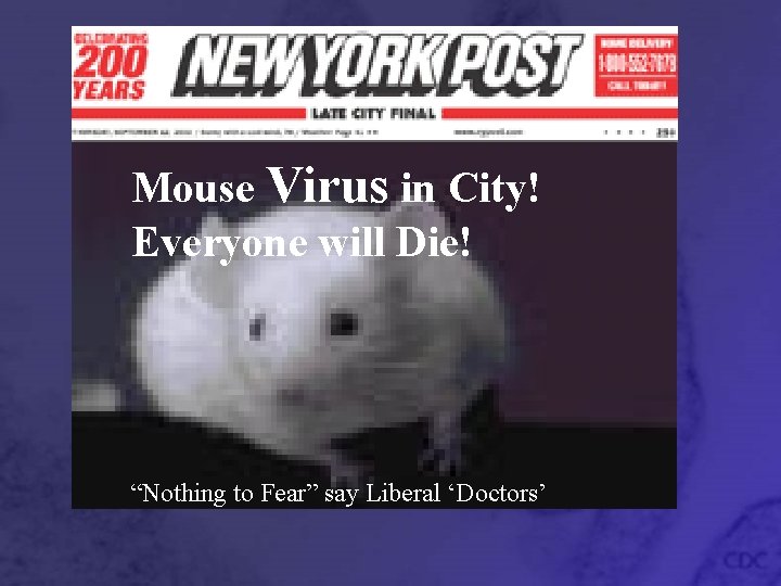 Mouse Virus in City! Everyone will Die! “Nothing to Fear” say Liberal ‘Doctors’ 