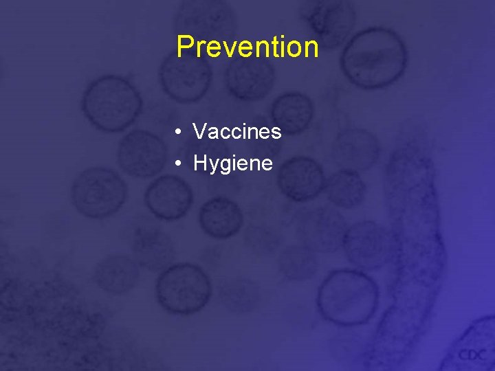 Prevention • Vaccines • Hygiene 