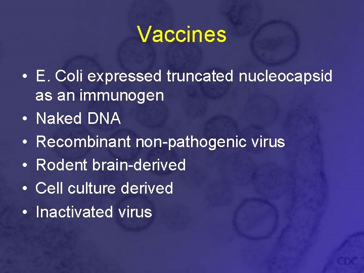 Vaccines • E. Coli expressed truncated nucleocapsid as an immunogen • Naked DNA •