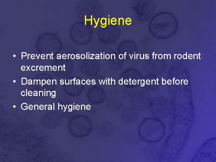 Hygiene • Prevent aerosolization of virus from rodent excrement • Dampen surfaces with detergent