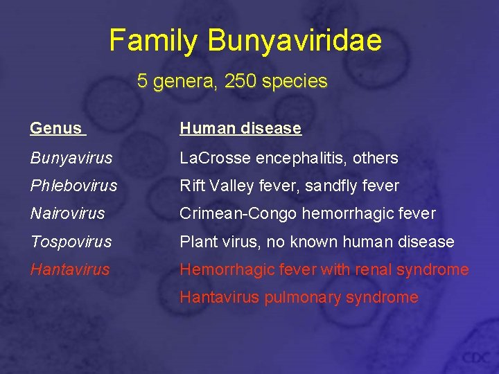 Family Bunyaviridae 5 genera, 250 species Genus Human disease Bunyavirus La. Crosse encephalitis, others