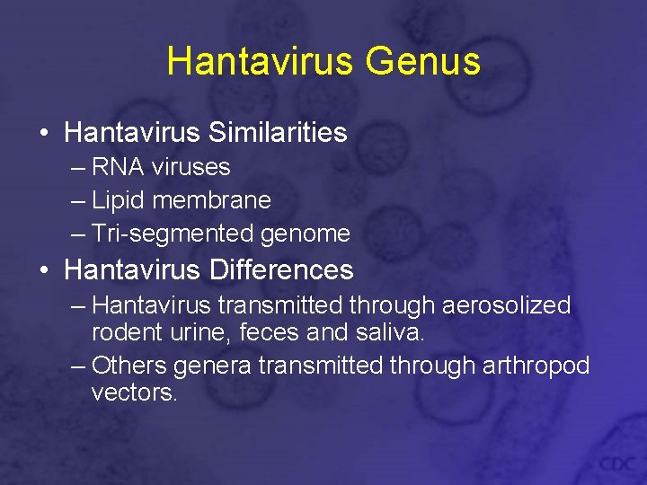 Hantavirus Genus • Hantavirus Similarities – RNA viruses – Lipid membrane – Tri-segmented genome