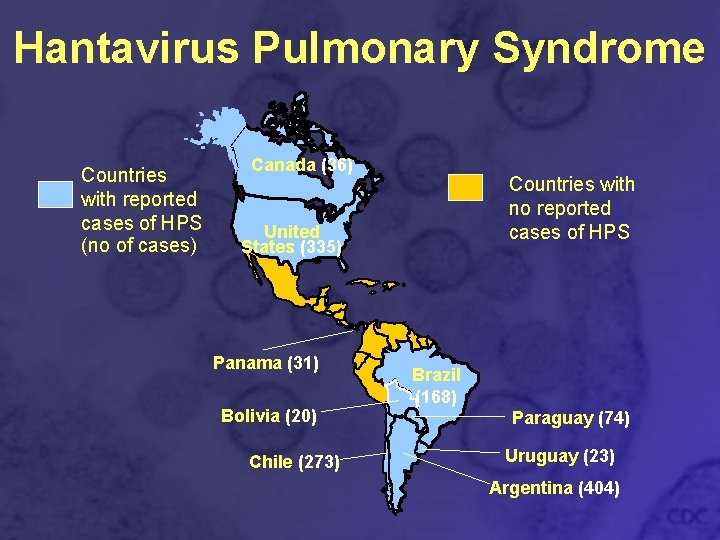 Hantavirus Pulmonary Syndrome Countries with reported cases of HPS (no of cases) Canada (36)