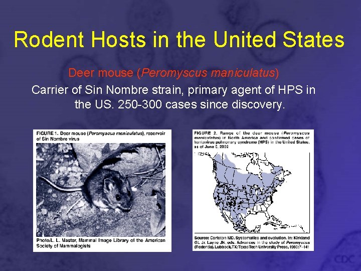 Rodent Hosts in the United States Deer mouse (Peromyscus maniculatus) Carrier of Sin Nombre