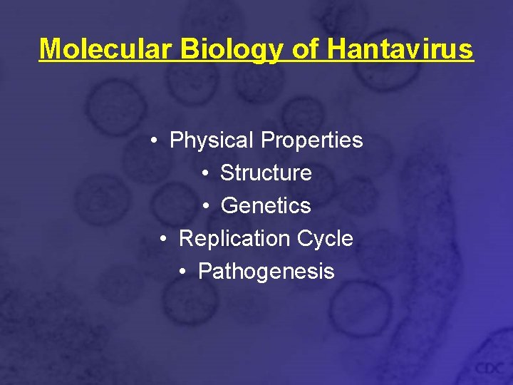 Molecular Biology of Hantavirus • Physical Properties • Structure • Genetics • Replication Cycle