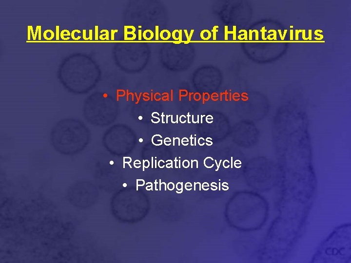 Molecular Biology of Hantavirus • Physical Properties • Structure • Genetics • Replication Cycle