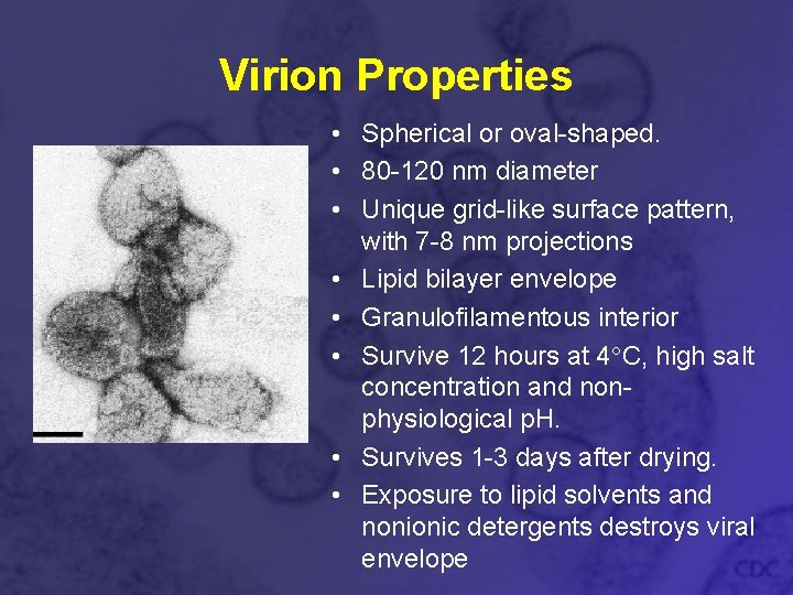 Virion Properties • Spherical or oval-shaped. • 80 -120 nm diameter • Unique grid-like
