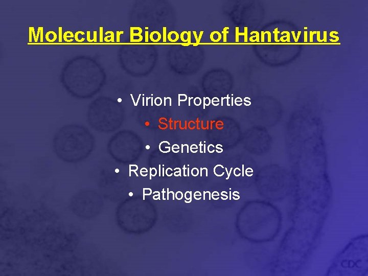 Molecular Biology of Hantavirus • Virion Properties • Structure • Genetics • Replication Cycle