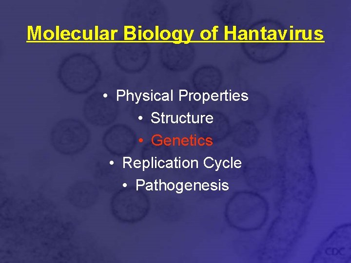 Molecular Biology of Hantavirus • Physical Properties • Structure • Genetics • Replication Cycle