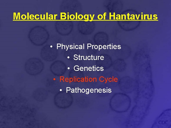 Molecular Biology of Hantavirus • Physical Properties • Structure • Genetics • Replication Cycle