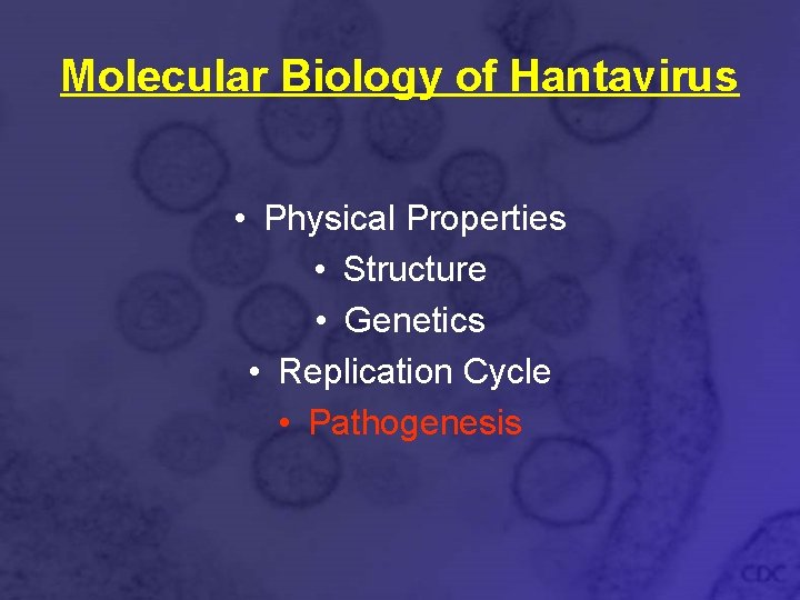 Molecular Biology of Hantavirus • Physical Properties • Structure • Genetics • Replication Cycle