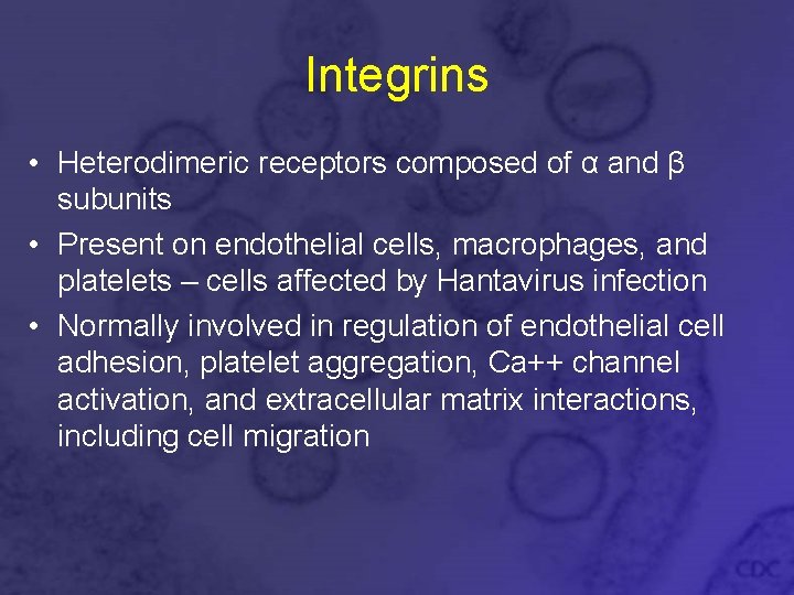 Integrins • Heterodimeric receptors composed of α and β subunits • Present on endothelial