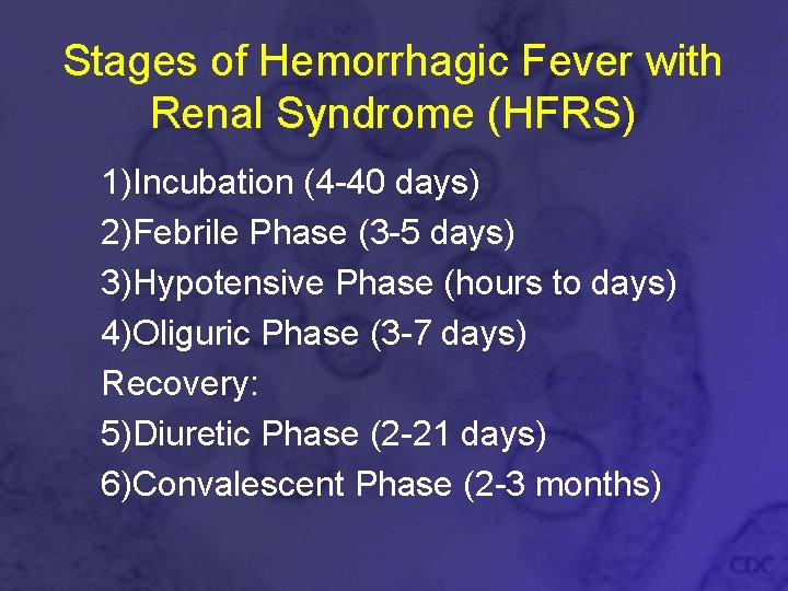 Stages of Hemorrhagic Fever with Renal Syndrome (HFRS) 1)Incubation (4 -40 days) 2)Febrile Phase