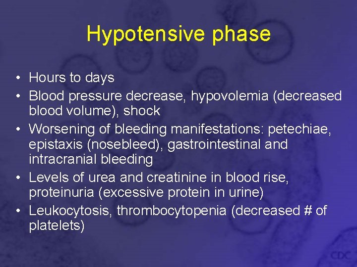 Hypotensive phase • Hours to days • Blood pressure decrease, hypovolemia (decreased blood volume),