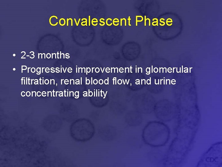 Convalescent Phase • 2 -3 months • Progressive improvement in glomerular filtration, renal blood